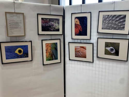 Expo-Photos-Chambray-2026-11