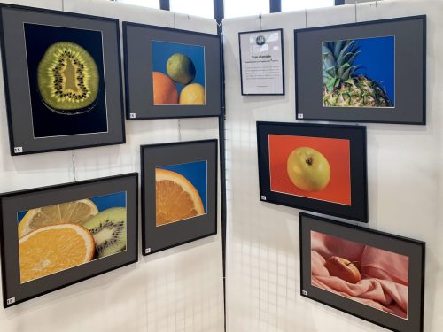 Expo-Photos-Chambray-2026-5