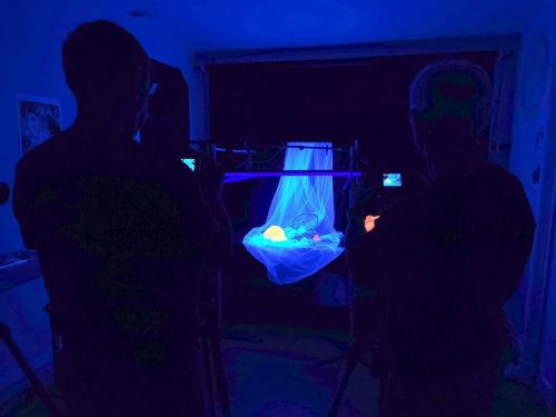 Lumière Noire Studio