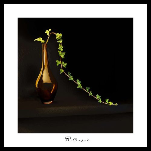 Roger_Nature morte 1